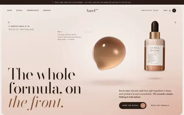 Aurel: the top of the homepage